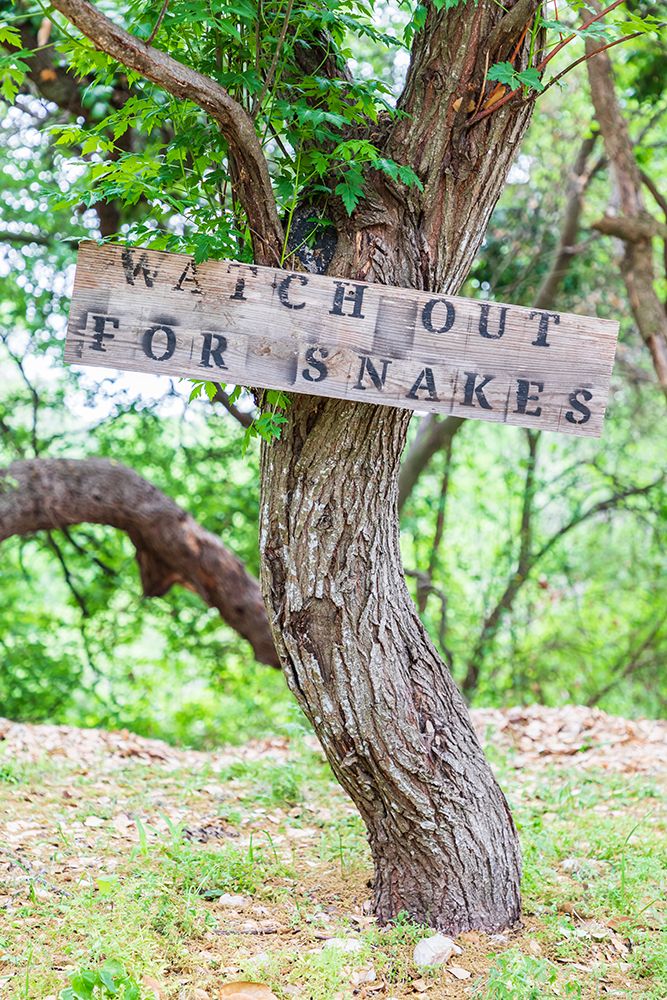 Castroville-Texas-USA-Sign warning snakes in the Texas Hill Country art print by Emily Wilson for $57.95 CAD